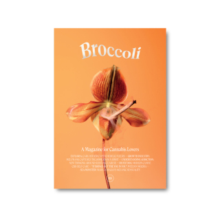 Broccoli Magazine Issue 08 Product Image
